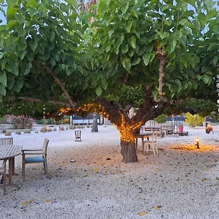 Bed & Breakfast Casa Mil Suenos Ontinyent