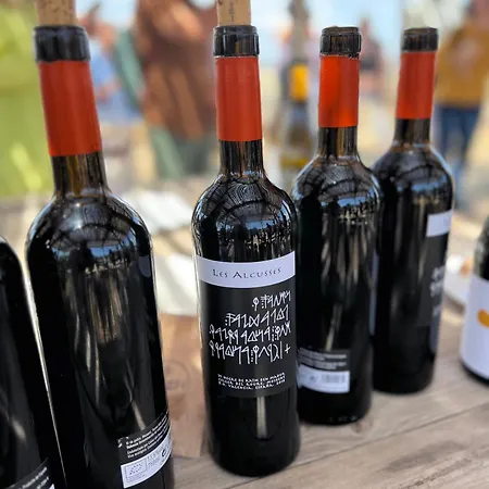 Casa Mil Suenos Bed & Breakfast Ontinyent